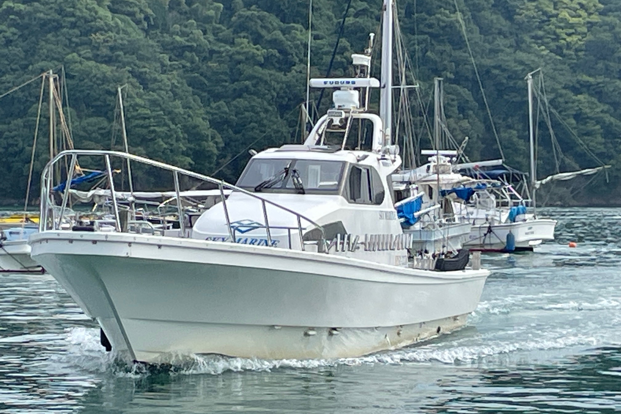 島旅クルーズプラン