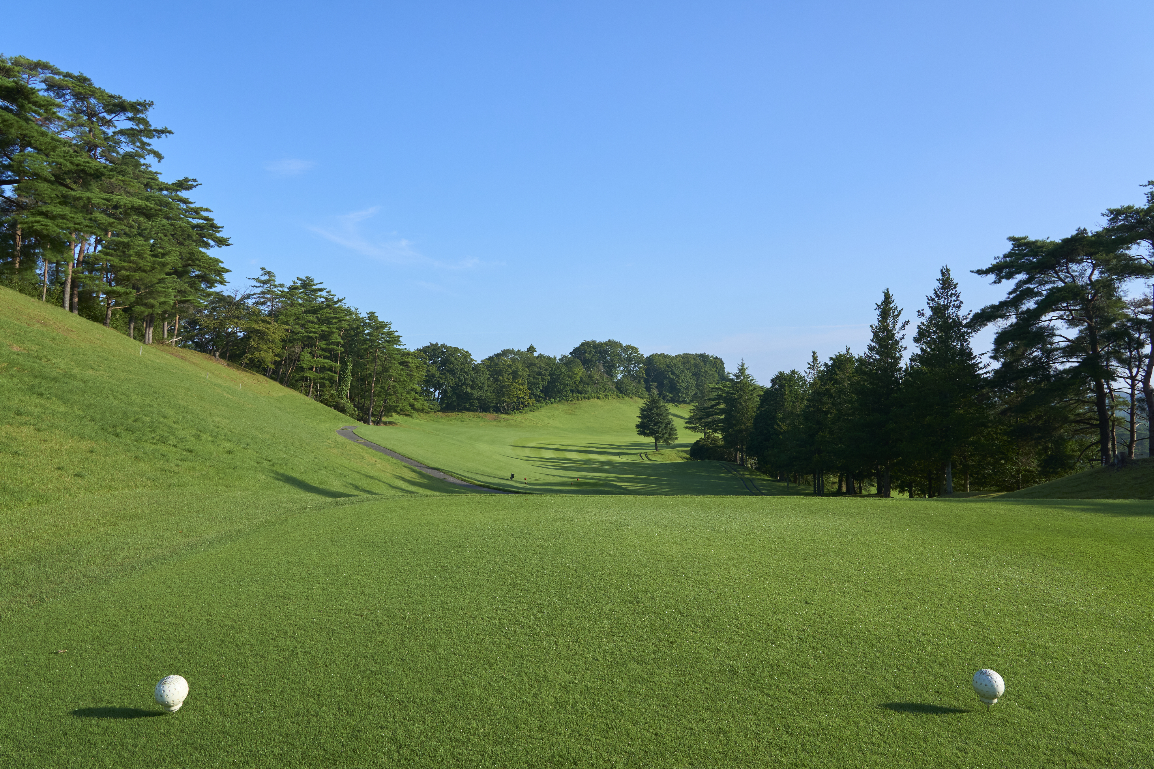 シーズナルグリーティング｜spring｜益子CC