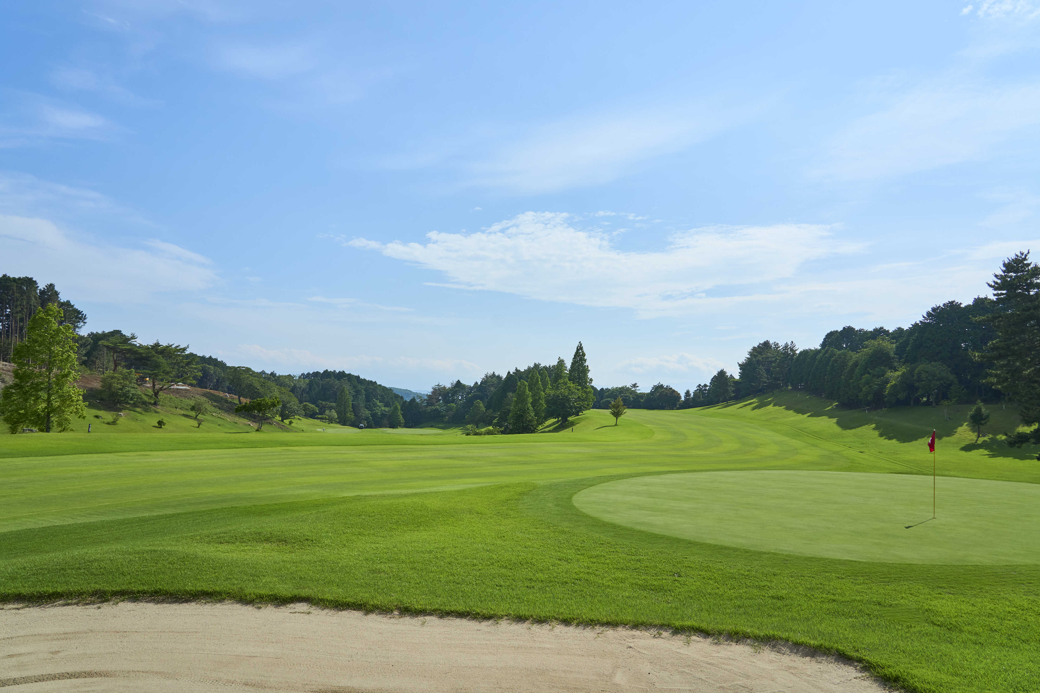 2026年夏季コンペパック