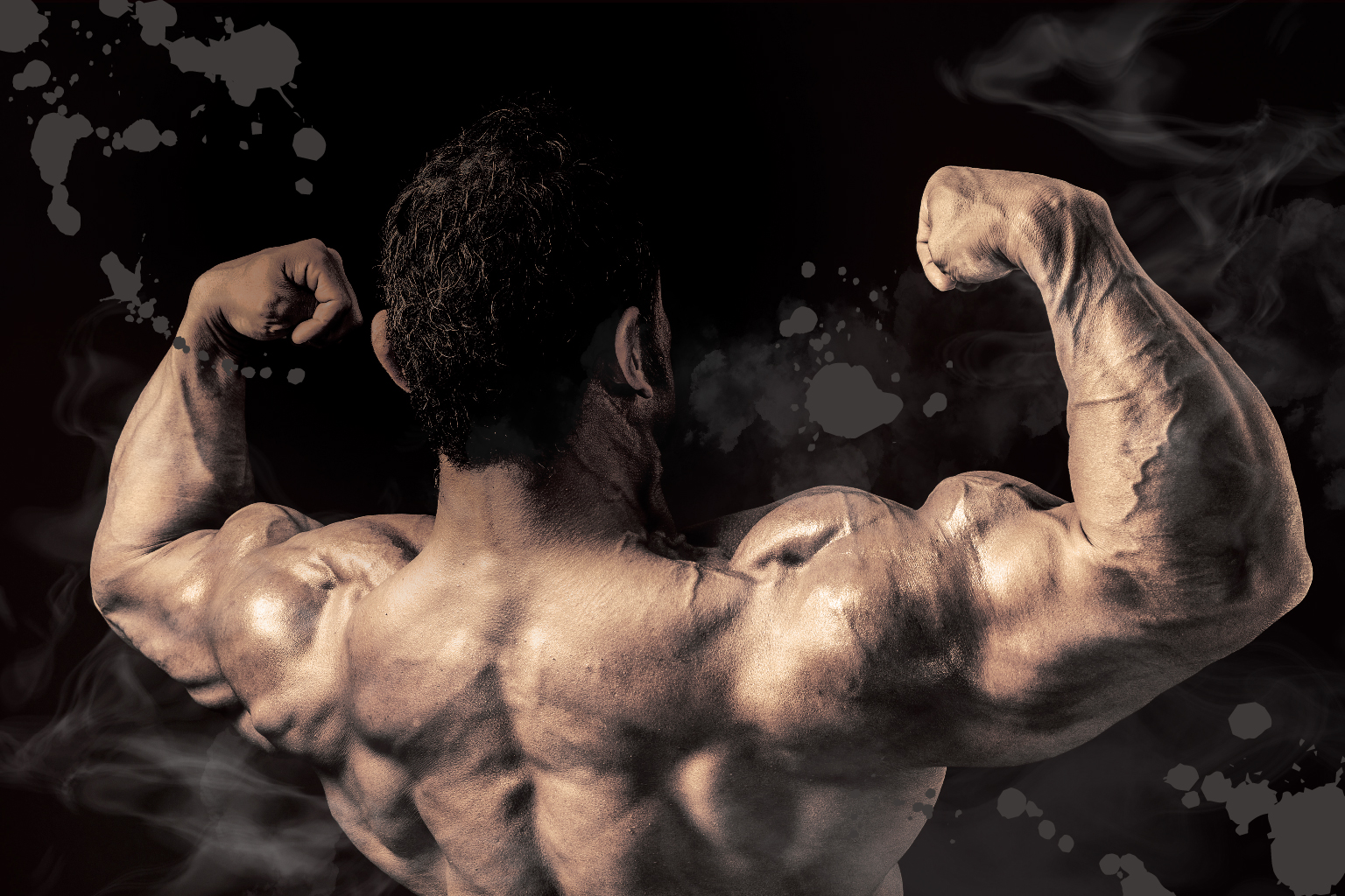 ＜THE 鉄人＞ご予約受付中