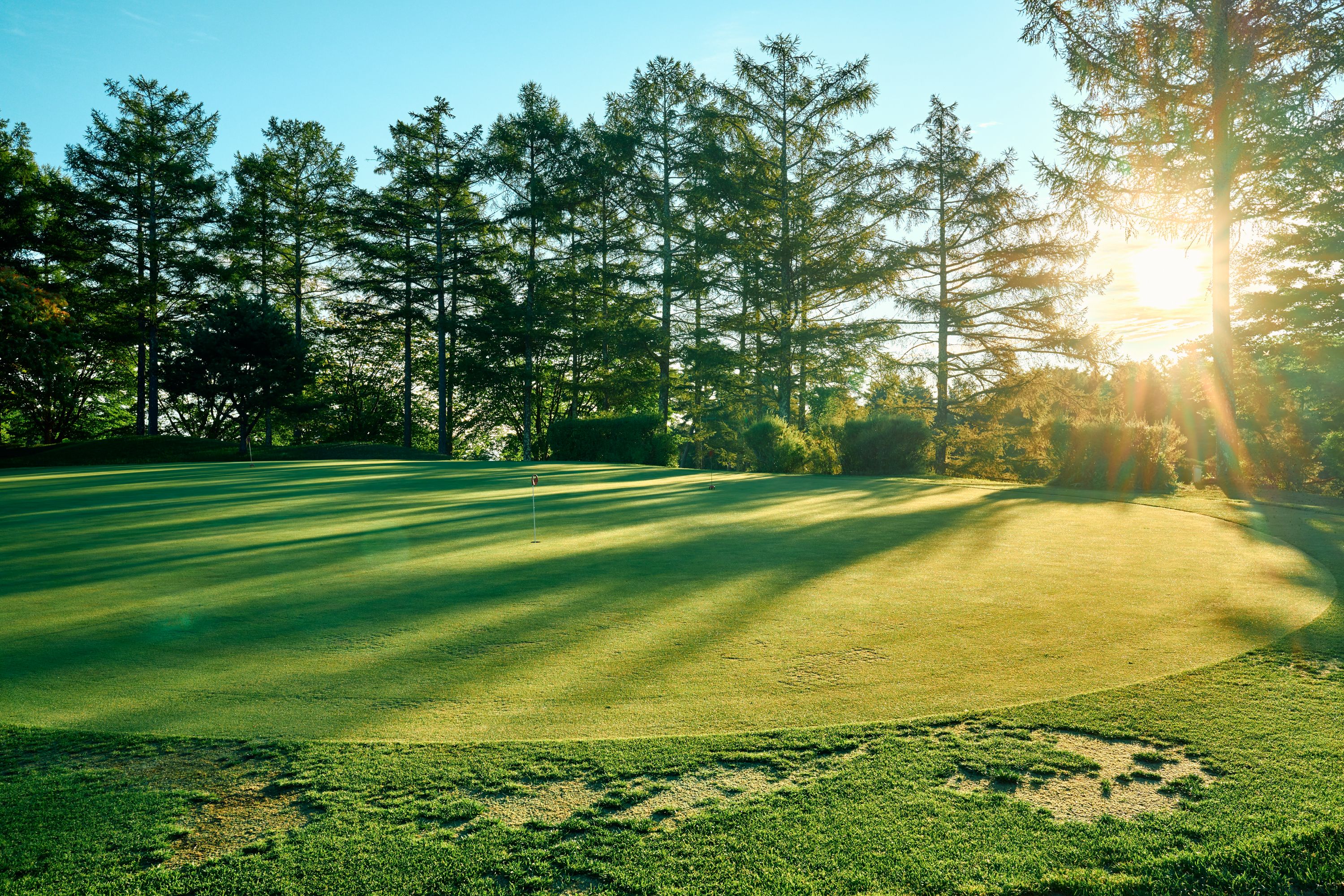 シーズナルグリーティング｜spring｜望月リソルGC