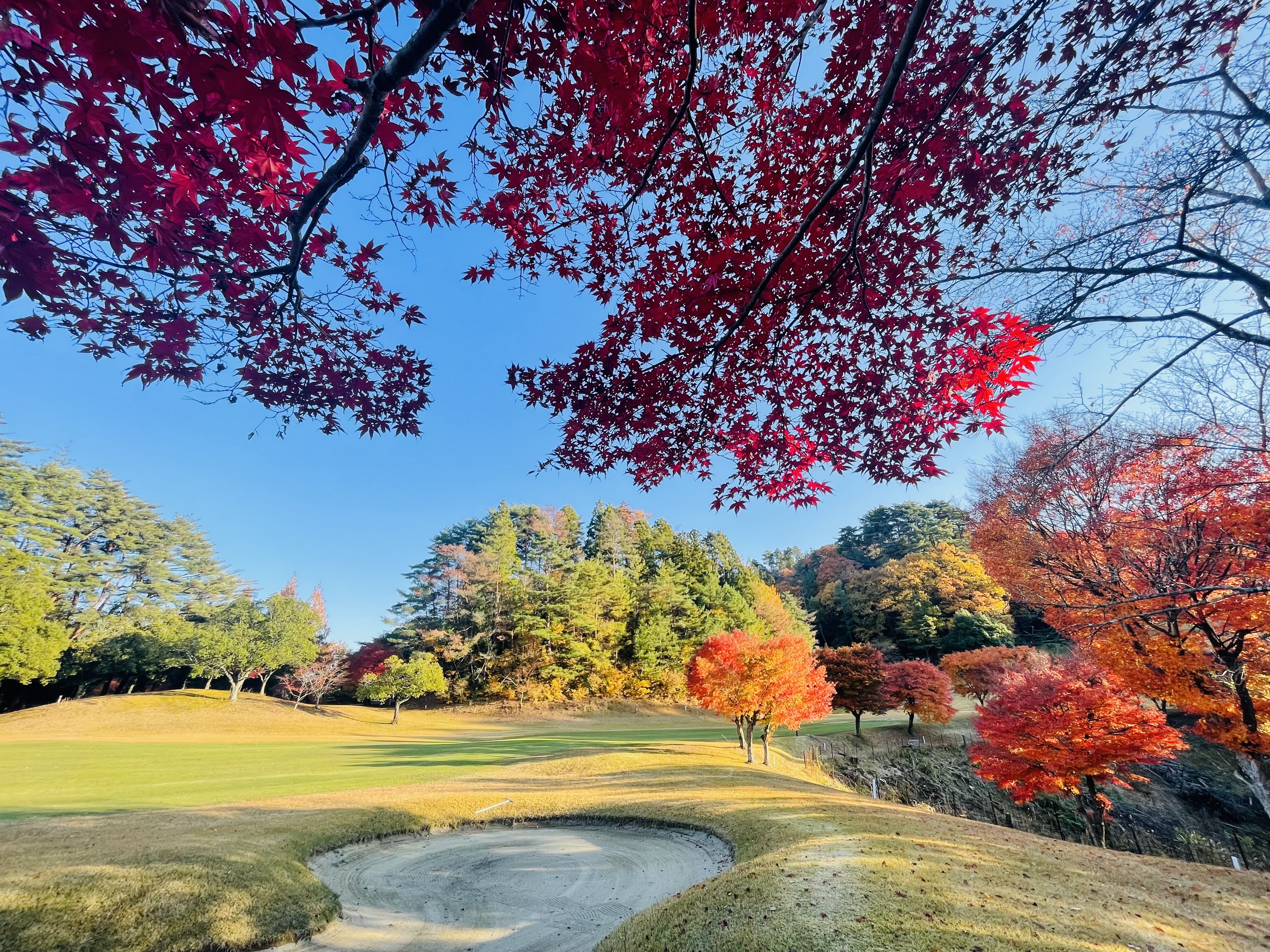 シーズナルグリーティング｜autumn｜関西CC